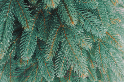 Ель искусственная Бифорес Крона микс голубая / КРМГ 195