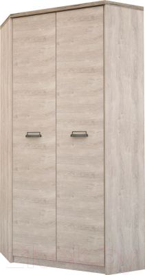 Шкаф Anrex Diesel 2D (дуб мадура) - фото