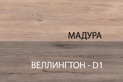 Шкаф Anrex Diesel 2D (дуб мадура)