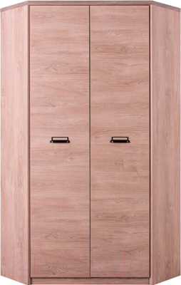 Шкаф Anrex Diesel 2D (дуб мадура)