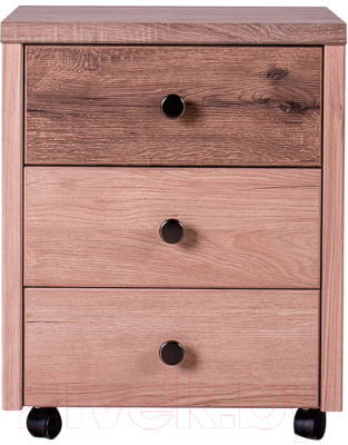 Тумба Anrex Diesel 3S/D1 (дуб мадура/веллингтон)