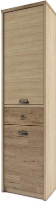 Шкаф-пенал Anrex Diesel 2D1S/D1 (дуб мадура/веллингтон) - фото