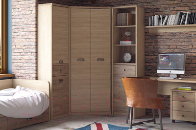 Шкаф-пенал Anrex Diesel 2D1S/D1 (дуб мадура/веллингтон)