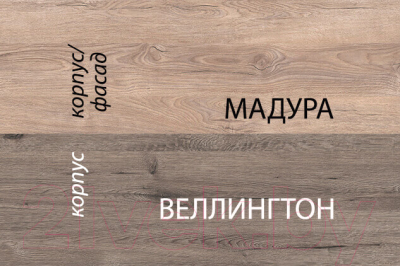 Шкаф-пенал Anrex Diesel 2D1S/D2 (дуб мадура/энигма)