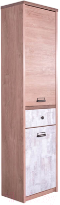 Шкаф-пенал Anrex Diesel 2D1S/D2 (дуб мадура/энигма)