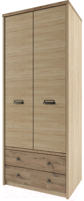 Шкаф Anrex Diesel 2DG2S/D1 (дуб мадура/веллингтон) - фото