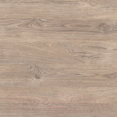 Шкаф Anrex Diesel 2DG2S/D1 (дуб мадура/веллингтон)