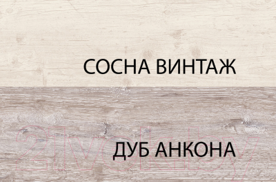 Шкаф Anrex Monako 2DG2S