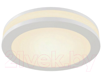 Точечный светильник Maytoni Phanton DL2001-L12W4K - фото