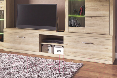 Тумба Anrex Oskar RTV 2S2NB (дуб санремо)