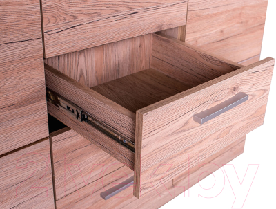 Тумба Anrex Oskar 2D4S (дуб санремо)