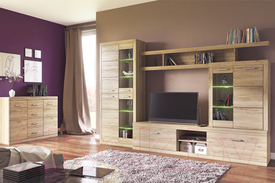 Тумба Anrex Oskar 2D4S (дуб санремо)