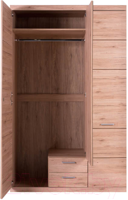 Шкаф Anrex Oskar 3D2S Z (дуб санремо)