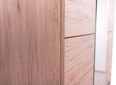 Шкаф Anrex Oskar 3D2S Z (дуб санремо)