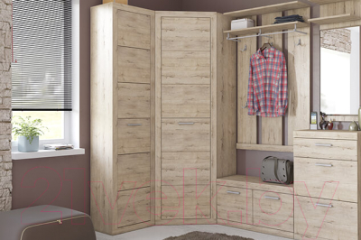 Шкаф-пенал Anrex Oskar 1DM (дуб санремо)