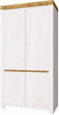 Шкаф Anrex Taurus 2DG (белый глянец/дуб вотан) - фото