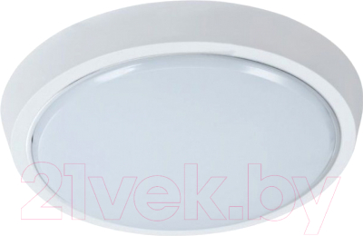 Светильник ЖКХ Leek LE LED BK RL 15W 6500K QS / LE 061200-159 - фото