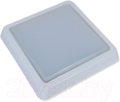 Светильник для подсобных помещений Leek LE LED BK SL 15W 6500K QS / LE061200-162 - фото
