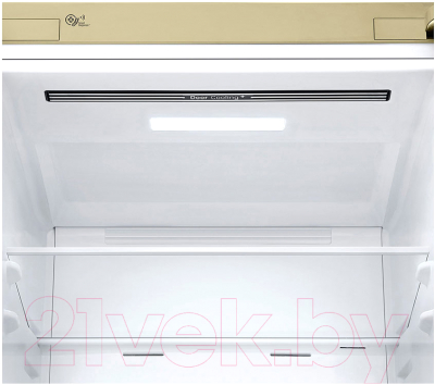 Холодильник с морозильником LG DoorCooling+ GA-B509MESL