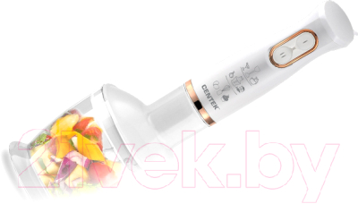 Блендер погружной Centek CT-1347 (белый)