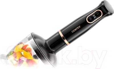 Блендер погружной Centek CT-1347 (черный)