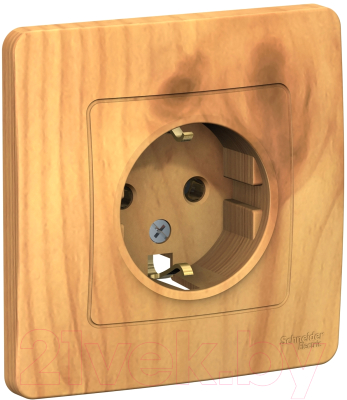 Розетка Systeme (Schneider) Electric Blanca BLNRS001015 - фото