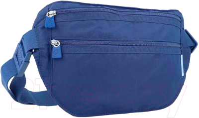 Сумка на пояс Samsonite Global TA CO1*11 074