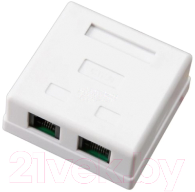 Розетка Rexant 8Р8С + Р-4С / 06-0106-C - фото