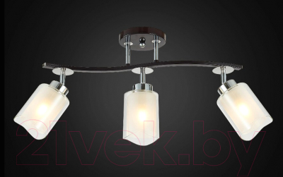 Люстра Citilux Фортуна CL156132