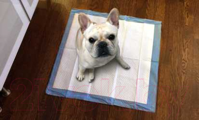 Одноразовая пеленка для животных Triol 30551002 / DP07