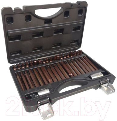 Набор бит RockForce Premium RF-4401D - фото