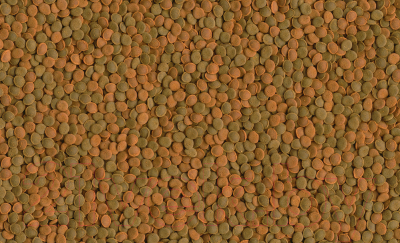 Корм для ракообразных Tetra Wafer Mix