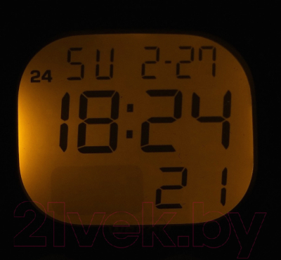 Часы наручные женские Casio LW-203-4AVEF