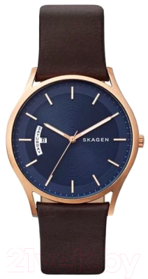 Часы наручные мужские Skagen SKW6395 - фото