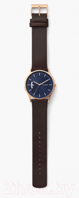 Часы наручные мужские Skagen SKW6395