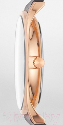 Часы наручные мужские Skagen SKW6395