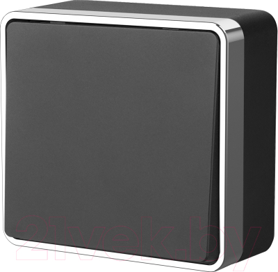 Выключатель Werkel Gallant WL15-01-03 / a041690 - фото