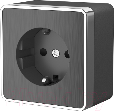 Розетка Werkel Gallant WL15-02-02 / a041397 - фото