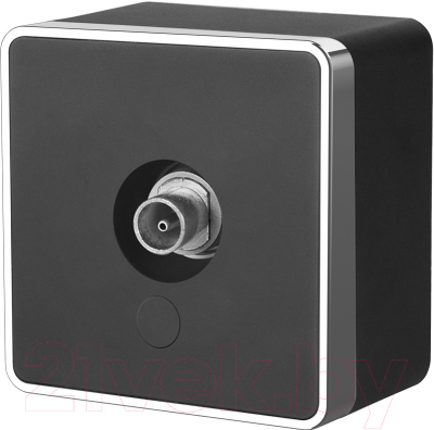 Розетка Werkel Gallant WL15-21-01 / a041704 - фото