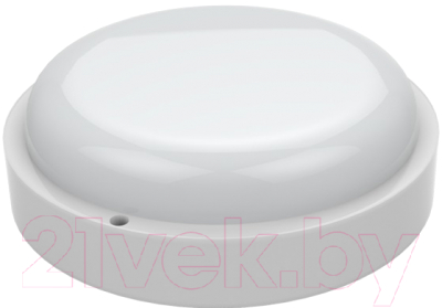 Светильник ЖКХ Gauss 126411312-S - фото