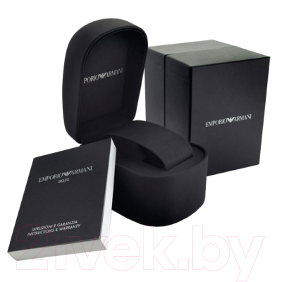 Часы наручные мужские Emporio Armani AR2472