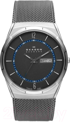 Часы наручные мужские Skagen SKW6078 - фото