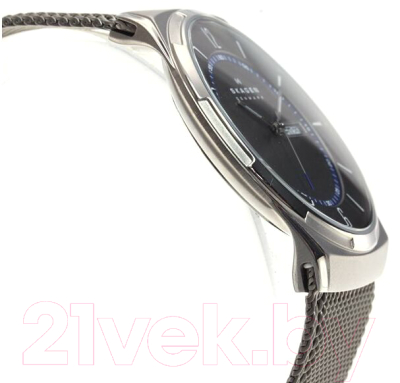 Часы наручные мужские Skagen SKW6078