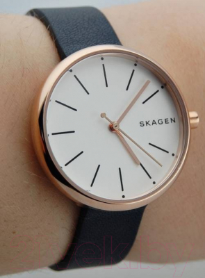 Часы наручные женские Skagen SKW2592