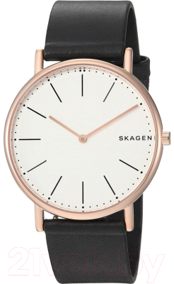 Часы наручные мужские Skagen SKW6430 - фото