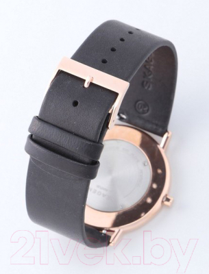 Часы наручные мужские Skagen SKW6430