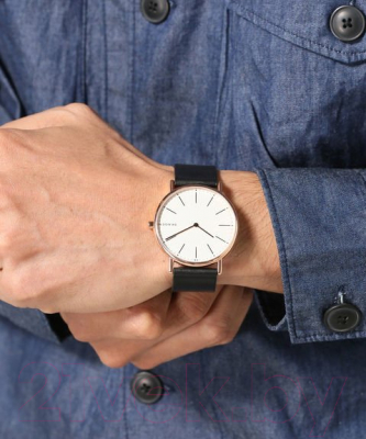 Часы наручные мужские Skagen SKW6430