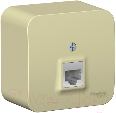 Розетка Schneider Electric Blanca BLNIA045007 - фото