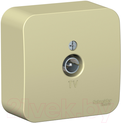 Розетка Schneider Electric Blanca BLNTA000017 - фото