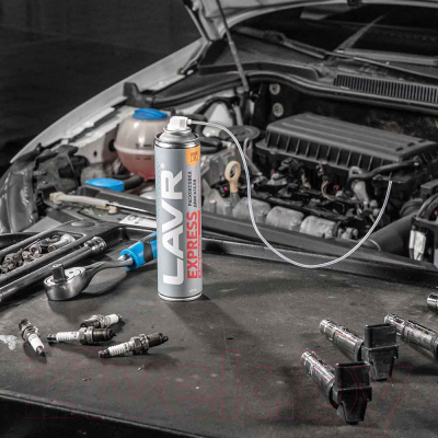 Присадка Lavr Express / Ln2511